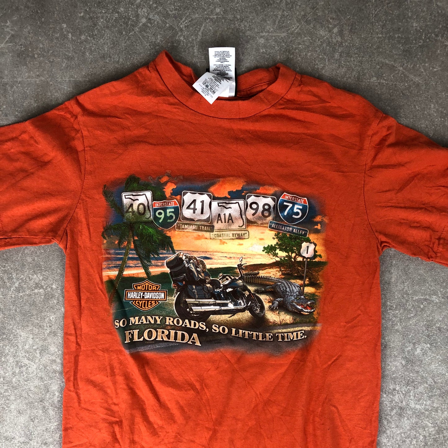 Harley Davidson T-Shirt (S)